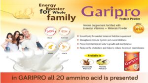 Gari Pro
